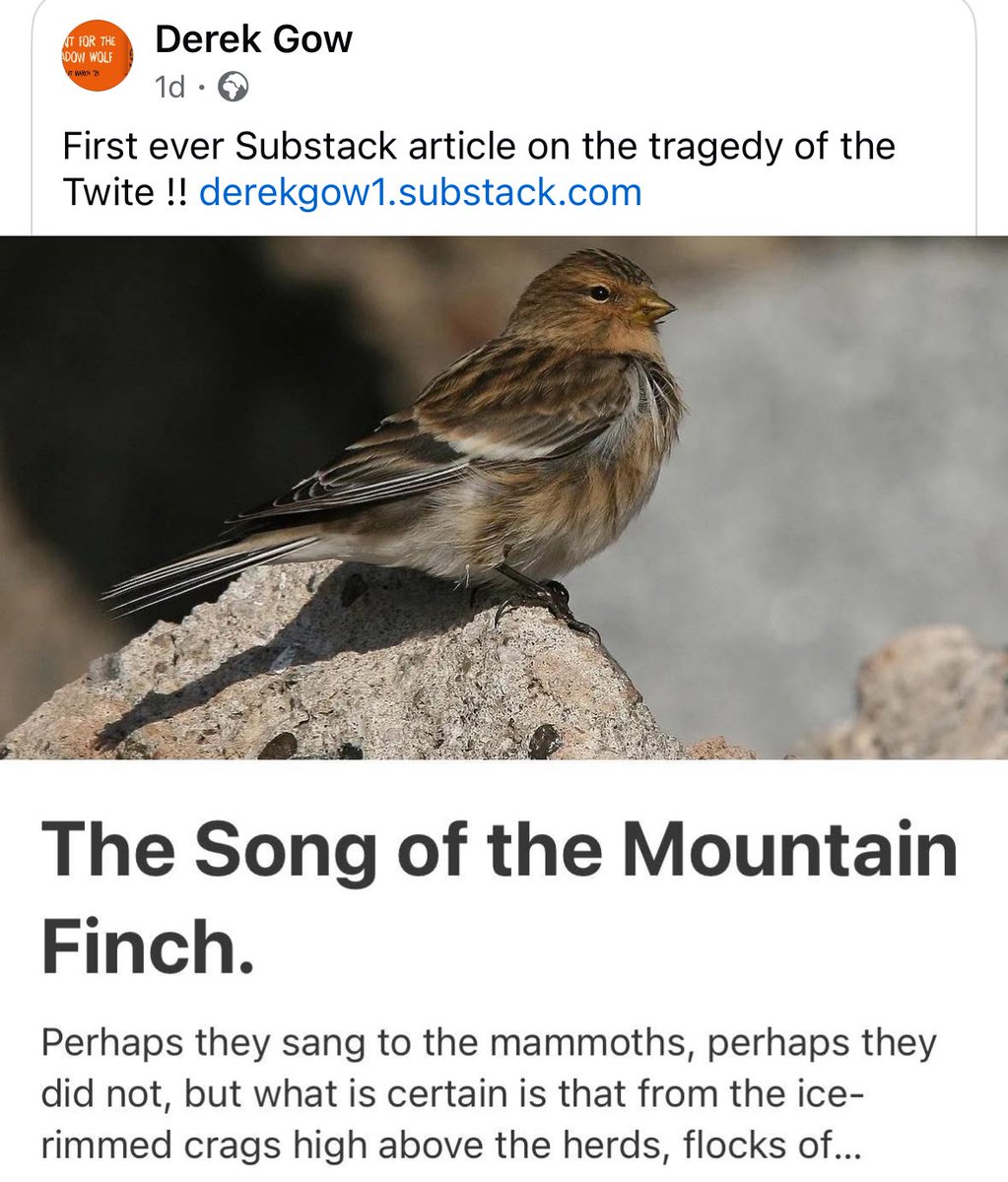 Derek Gow tweet media