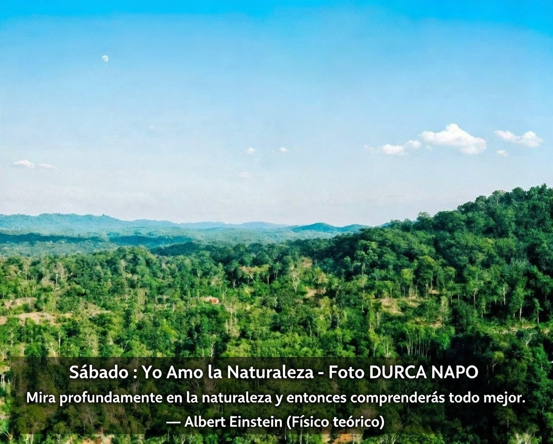 DURCA Grand Cru Dark Chocolate tweet media