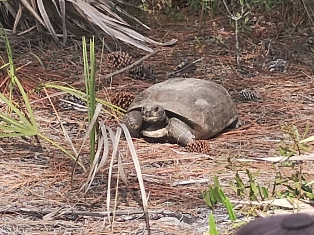 Steve Woodmansee tweet media