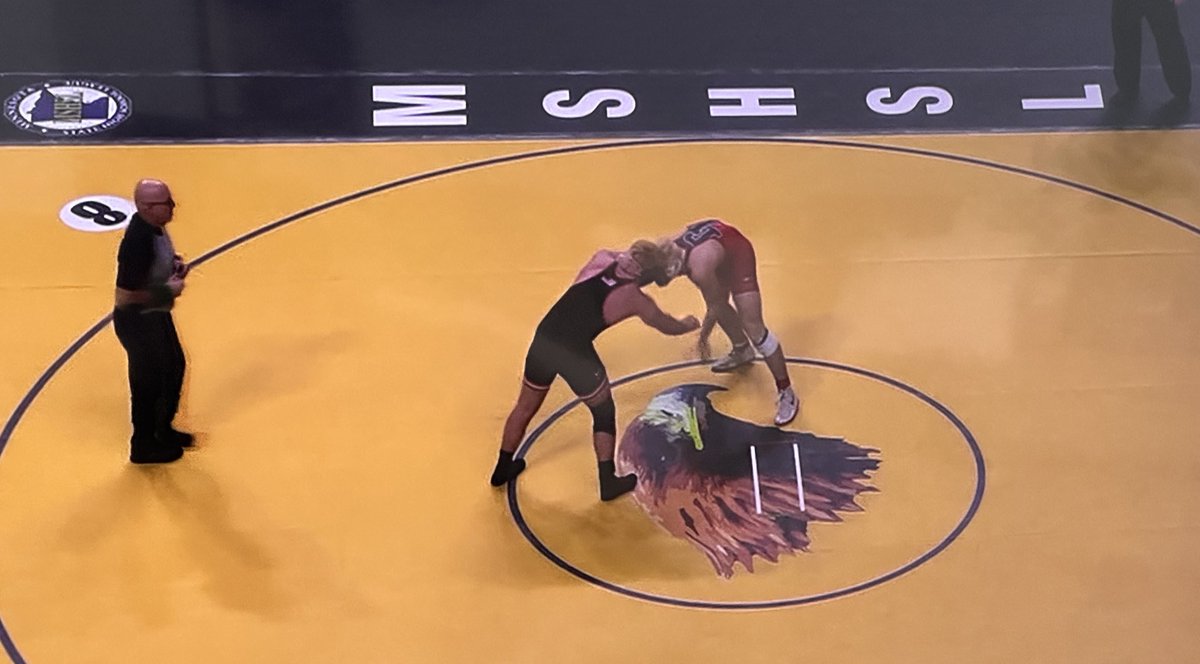 Detroit Lakes High tweet media