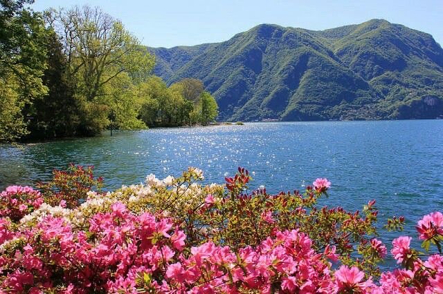 bloomingracee's tweet photo. I love spring • everything is in full bloom https://t.co/6OYmbafYtq