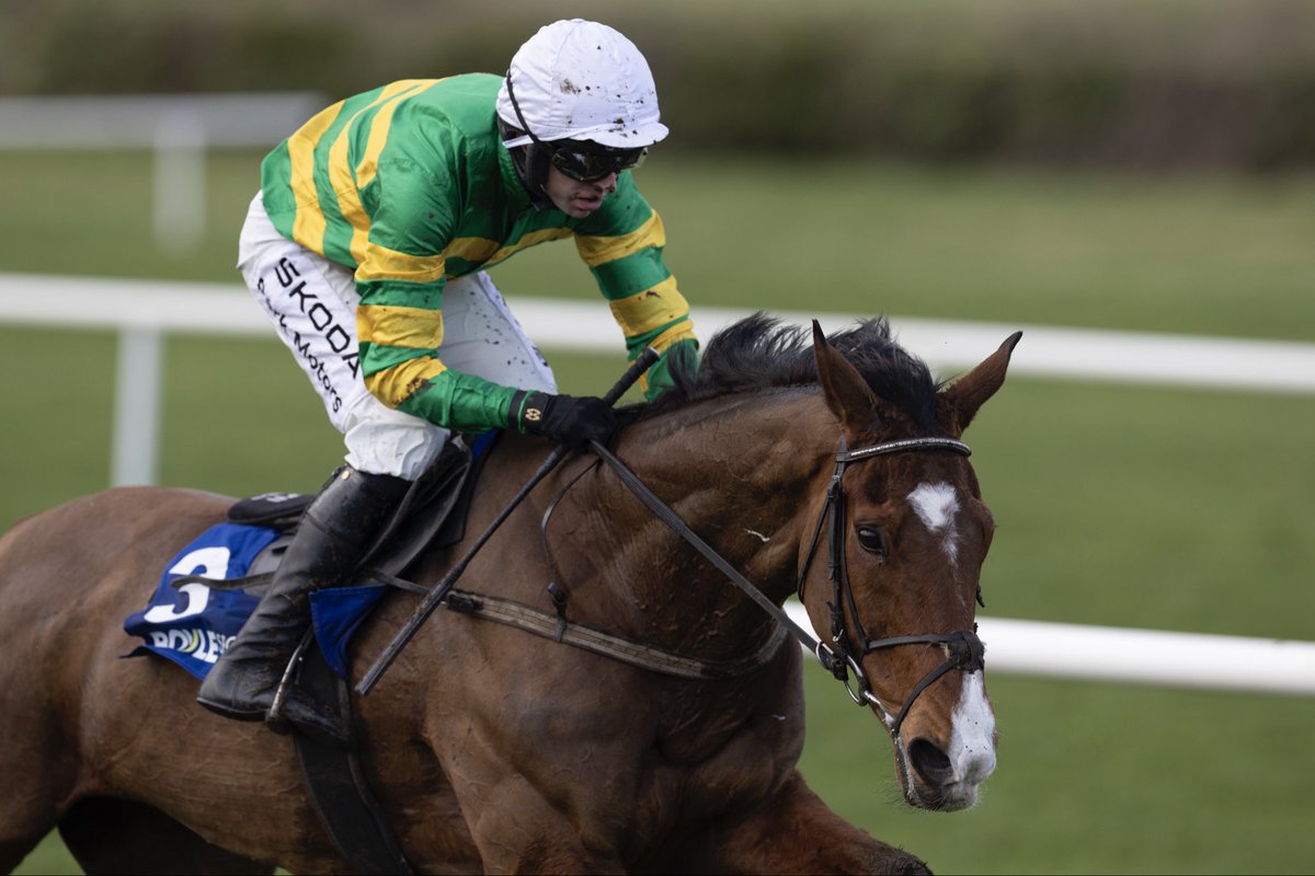 Navan Racecourse tweet media