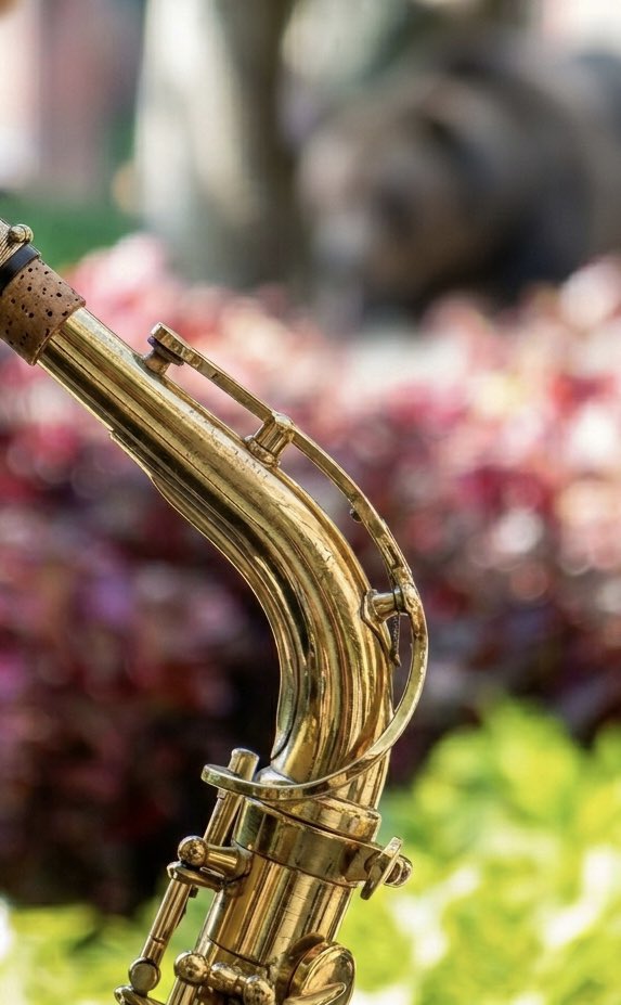 Daniel Lara tweet media