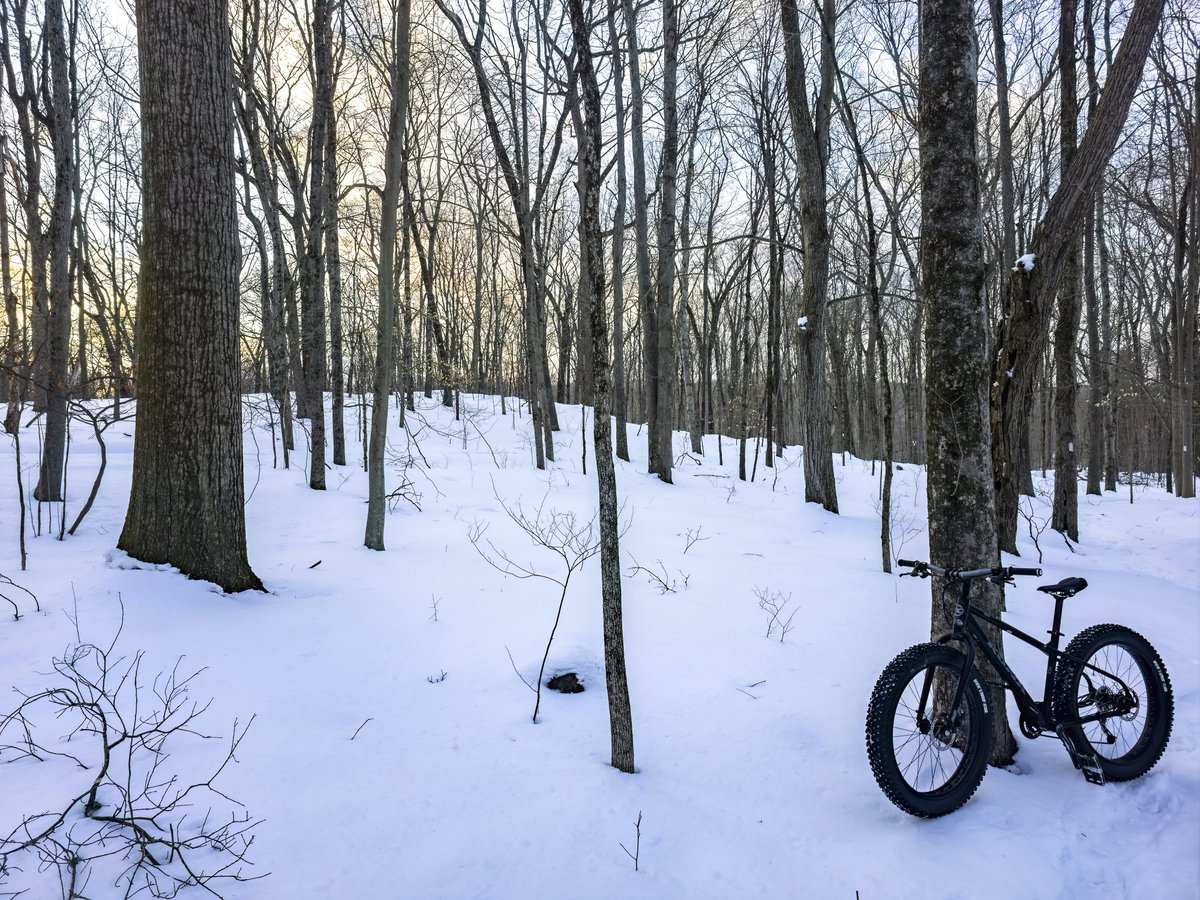 Stinky Caveman tweet media