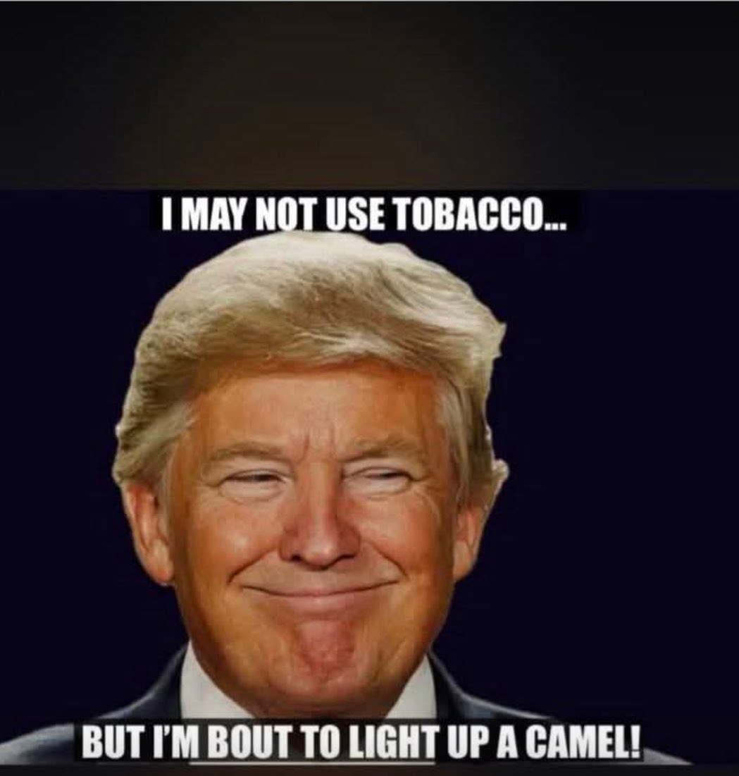 Troy 🃏🩸 tweet media