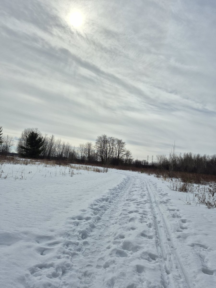 Karyn Curtis🇨🇦🐎 tweet media