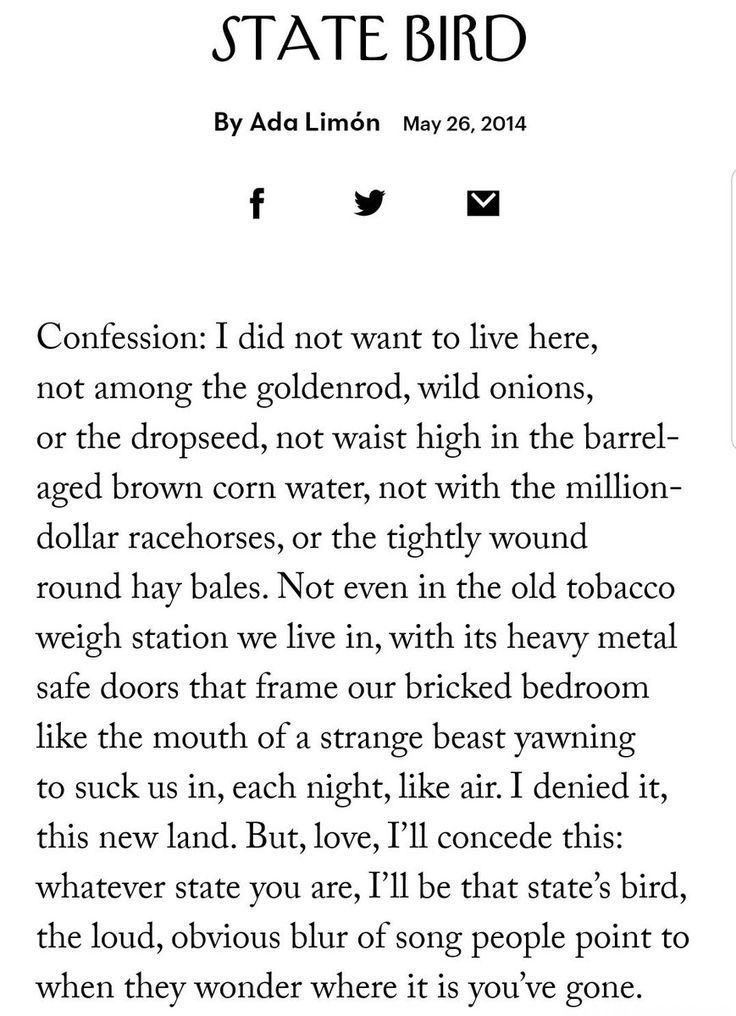 noor unnahar tweet media