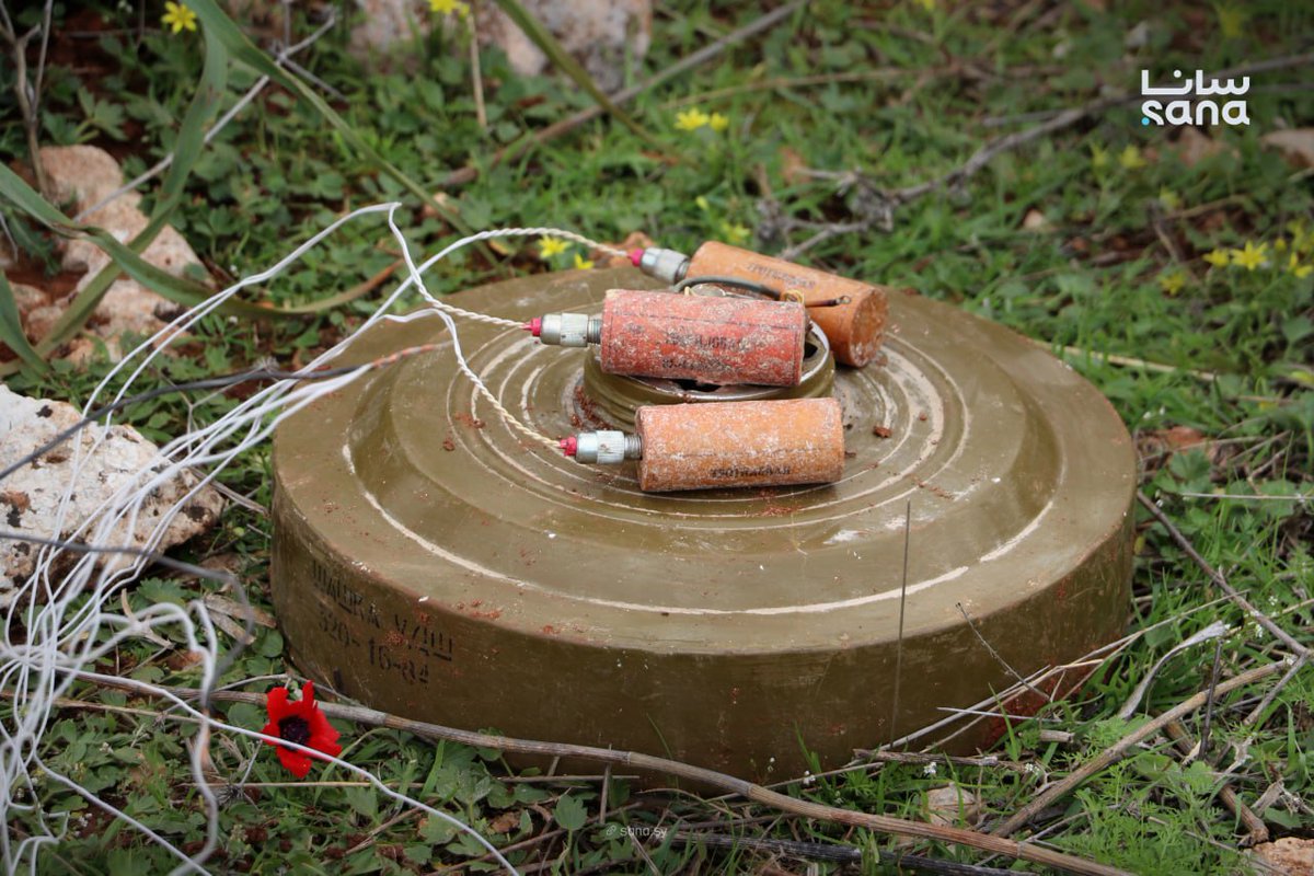 Agencia_Sana's tweet image. Zapadores del Ejército Sirio continúan asegurando los sitios arqueológicos en Idlib, retirando minas y restos de guerra. 

Esto se realiza como paso previo a la restauración de estos lugares y a la creación de un entorno seguro para recibir visitantes y turistas.

#Siria 
#Idlib