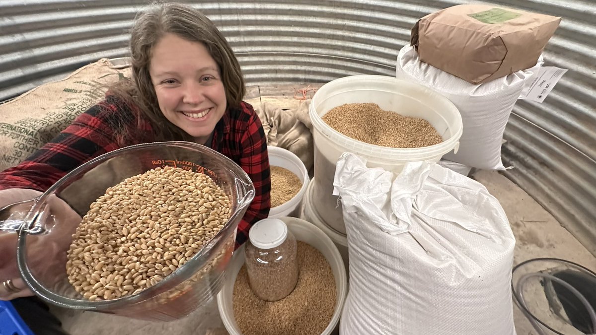 Gridlessness tweet media