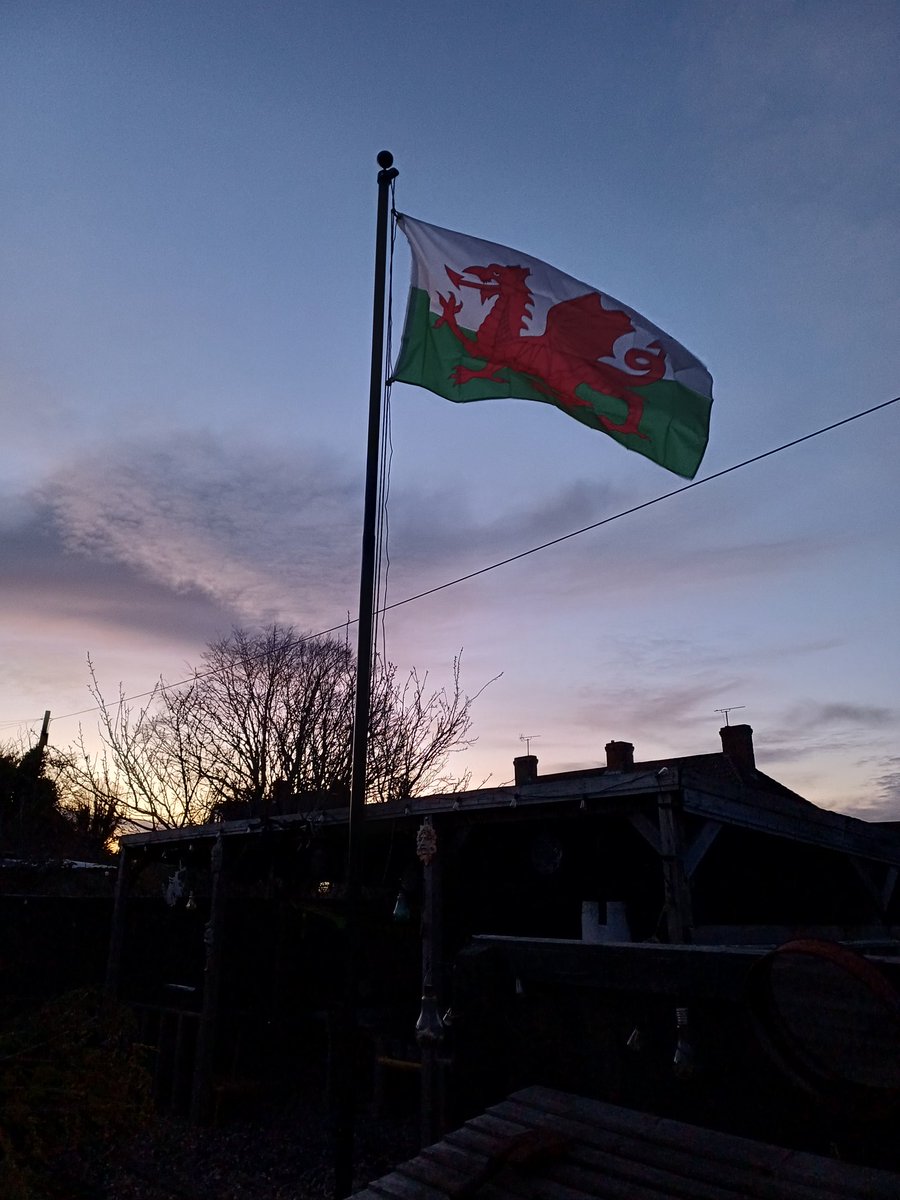 Put up the flag in anticipation of St David's day tmrw. #StDavidsDay