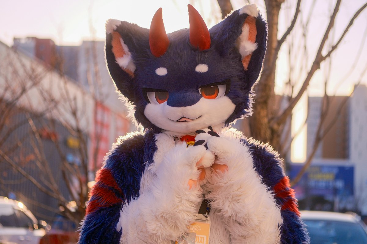 🍊 루오 ルオ tweet media