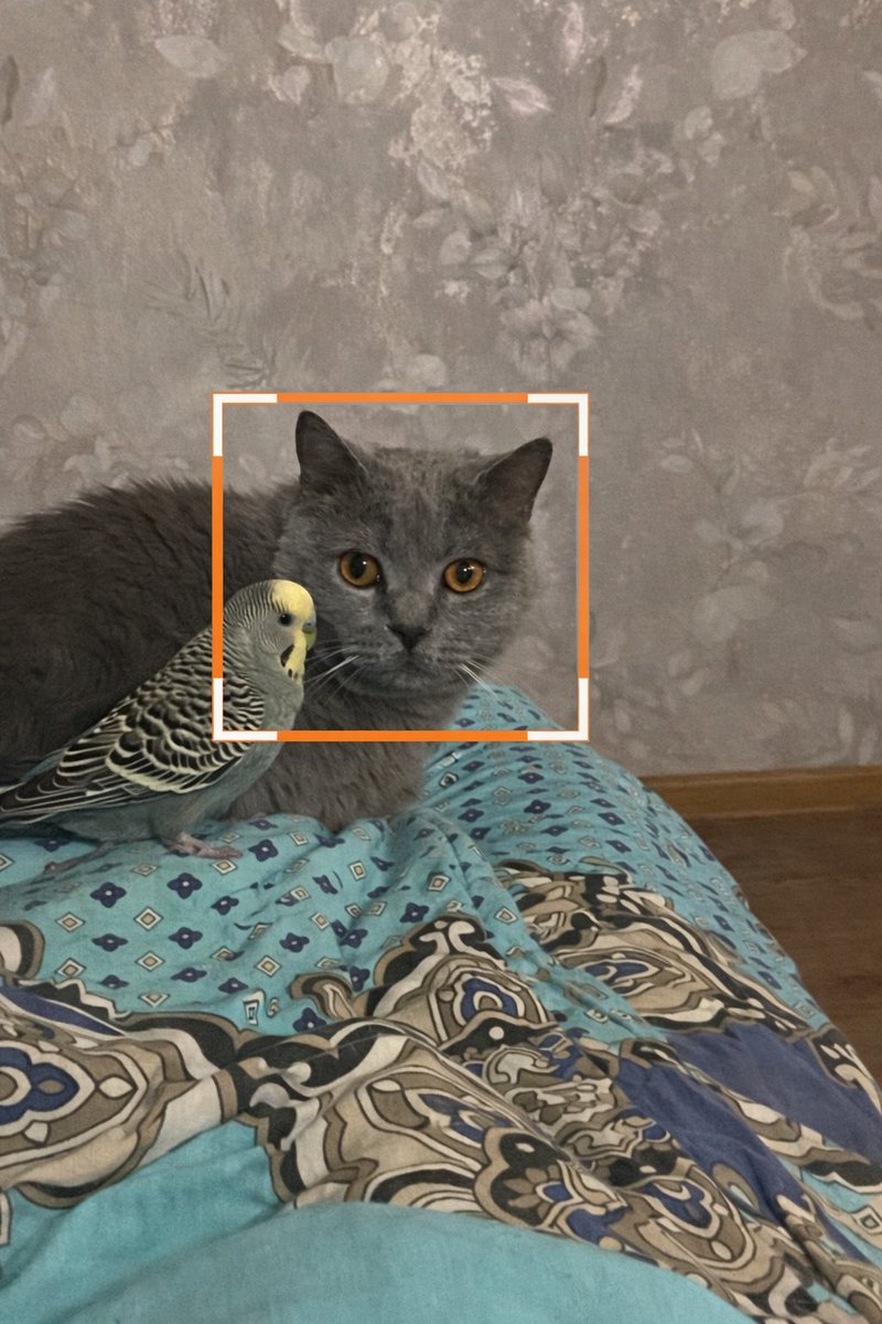 iamigorekk tweet media