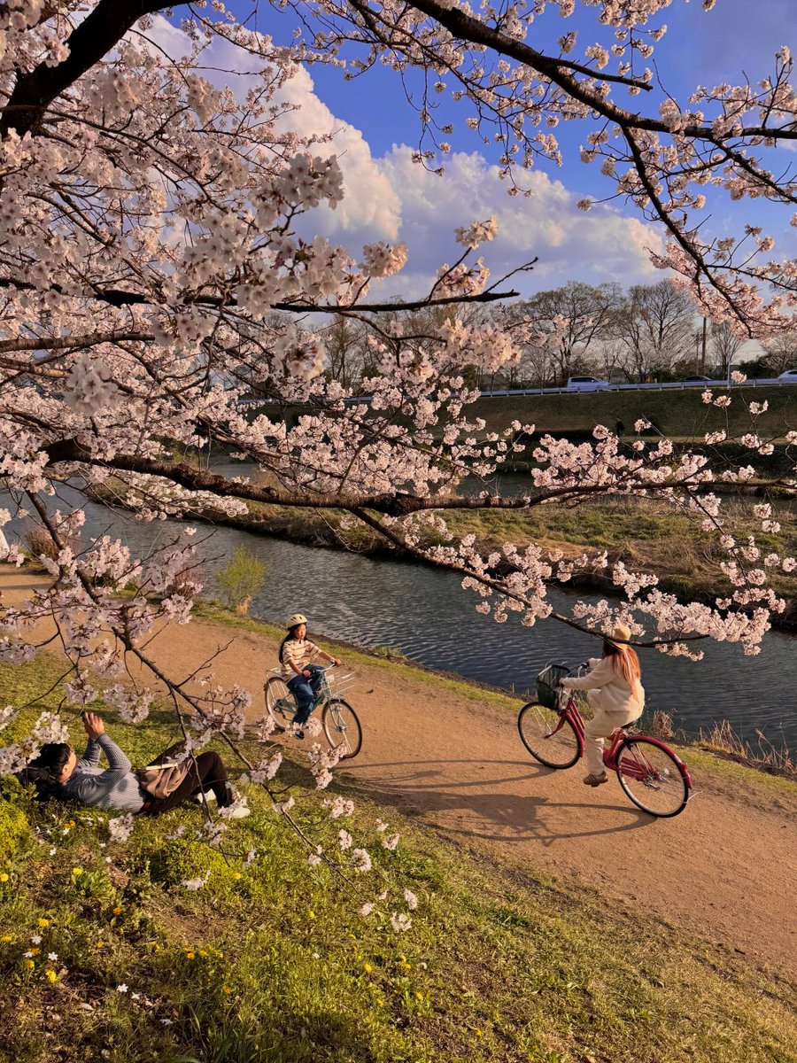 Lara😘 tweet media