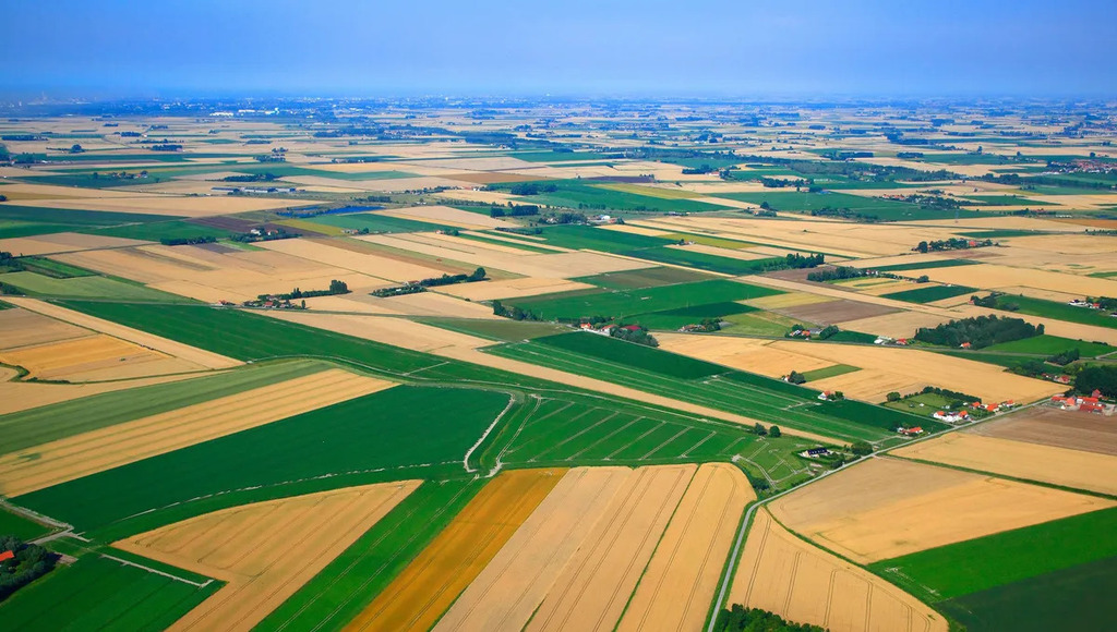 collemyria's tweet photo. Projet Rés0Pest : une agriculture sans pesticide est techniquement possible et économiquement viable https://t.co/ri309gk5L4 https://t.co/x2bf3NdaXP