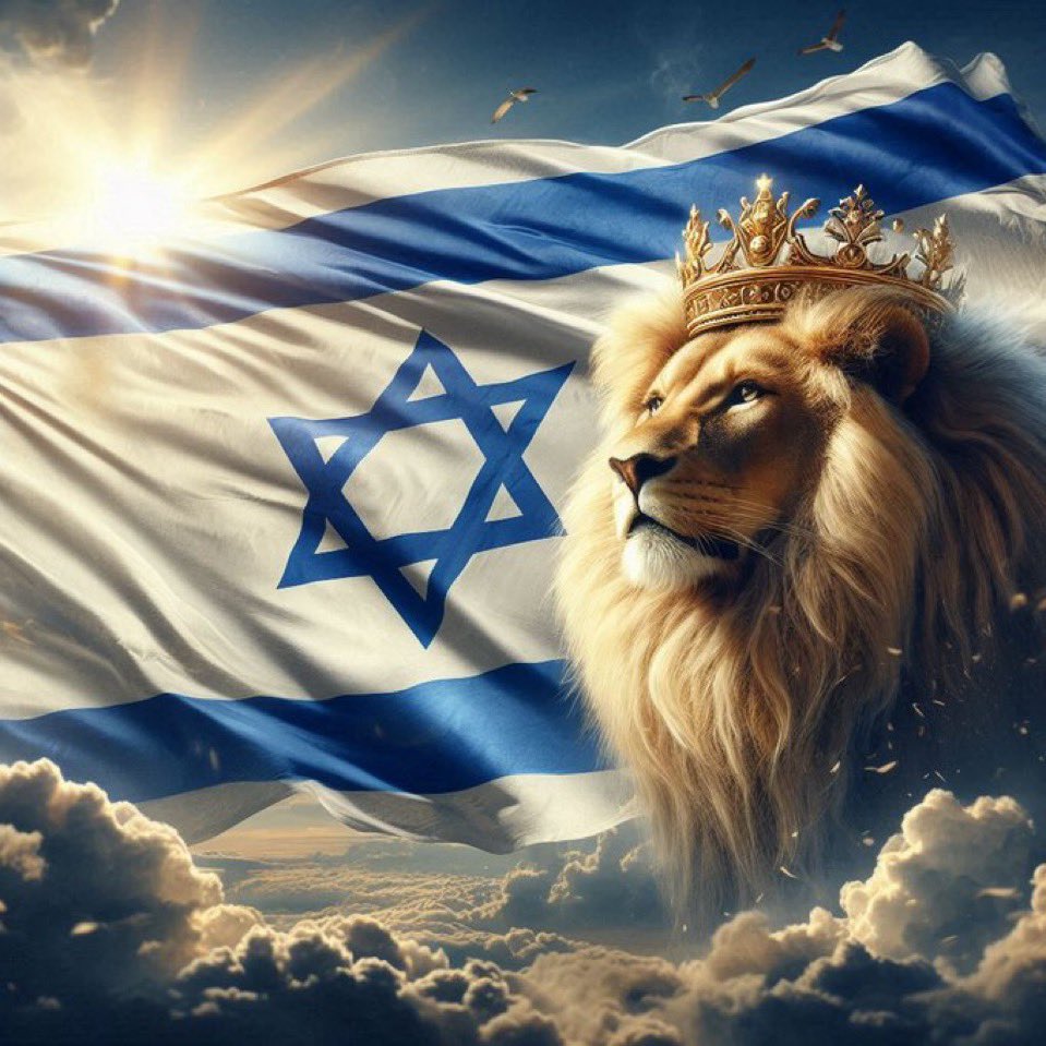 ZoeAriella_'s tweet photo. It's time for the Lion to free the innocents and to protect his own people🇮🇱

Operation #RoaringLion https://t.co/92trBfRVC6
