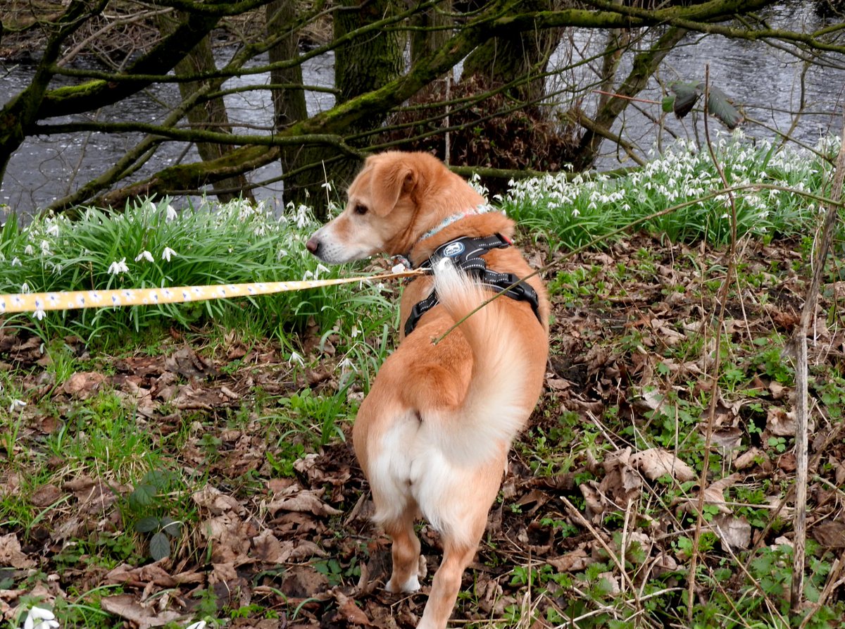 Lainey Oldaker tweet media