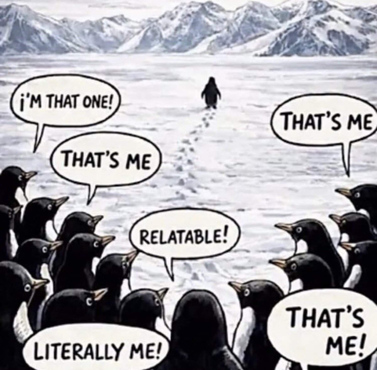 FunnyMemeSpot (@funnymemespot_) on Twitter photo 