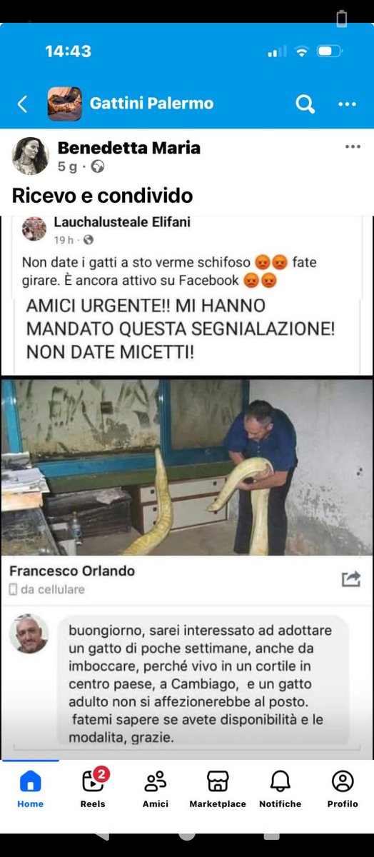 Segnalazione .questo soggetto non è affidabile .