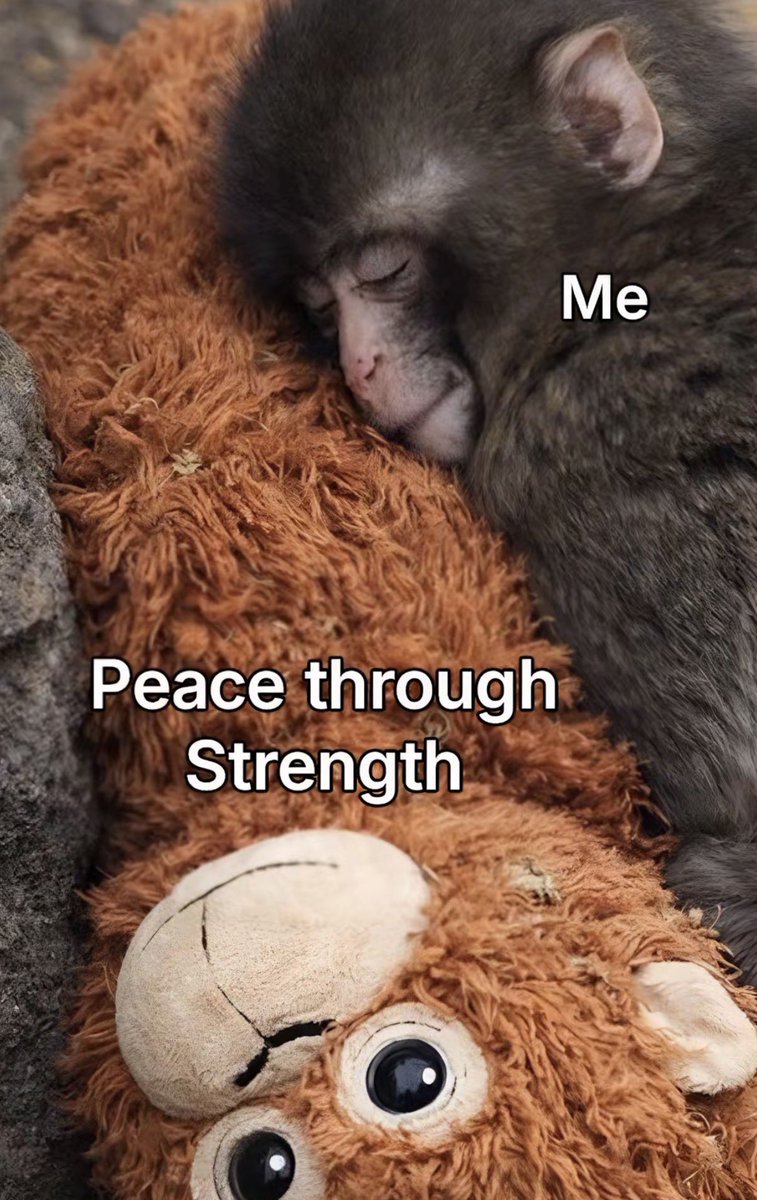 punch fan account パンチファンアカウント tweet media