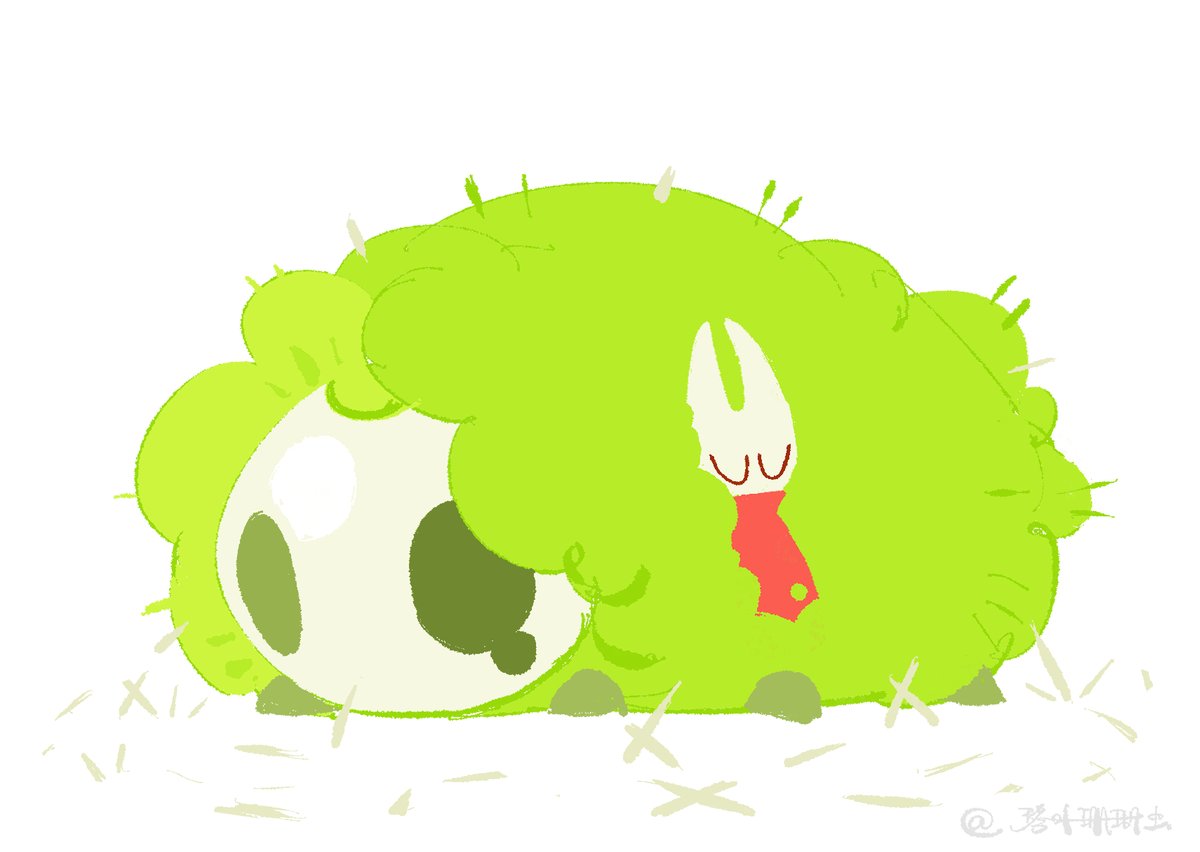 琴叶珊瑚虫 tweet media