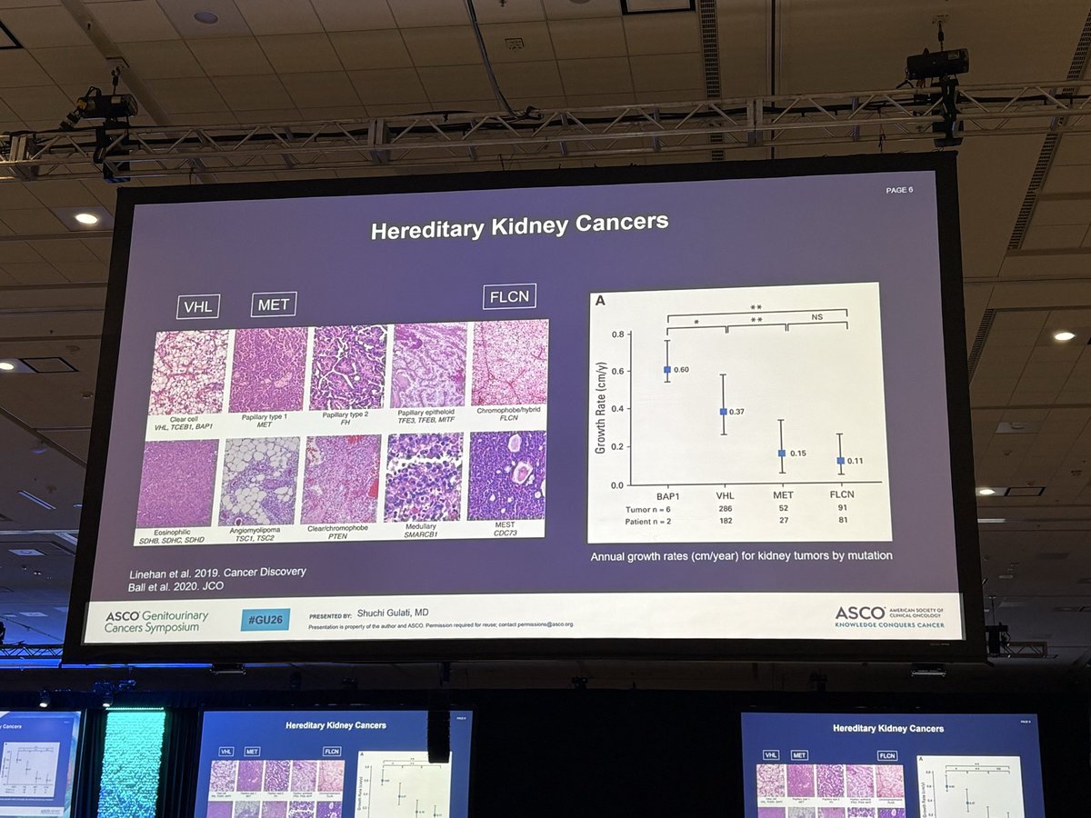 LauraEsfeller's tweet photo. @ShuchiGulati giving a masterclass on imaging in #kidneycancer @ASCO #GU26.  Appreciate the inclusion of hereditary RCCs especially #HLRCC! https://t.co/sCOXqjatY1