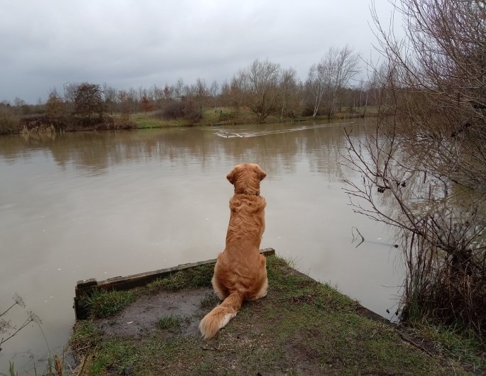 Carlos Shires (@carlosshires) on Twitter photo 