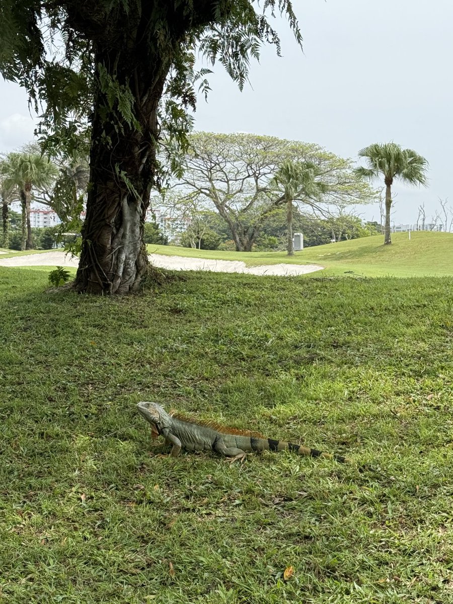 ゴルフ場で見かけた光景😆