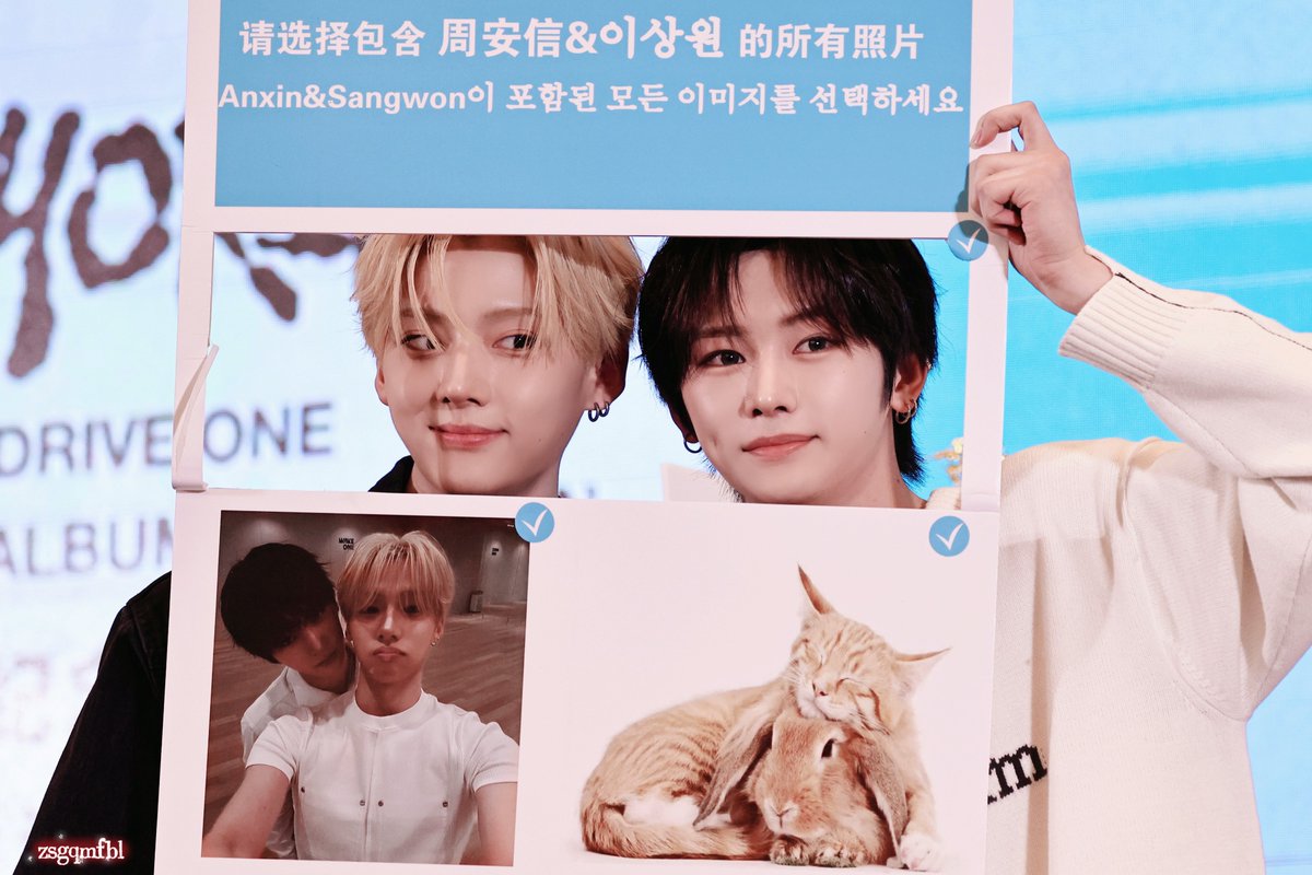 zsgqmfbl tweet media