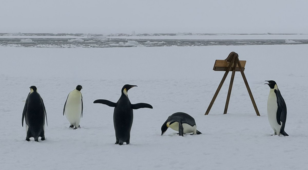 Chris Hart tweet media