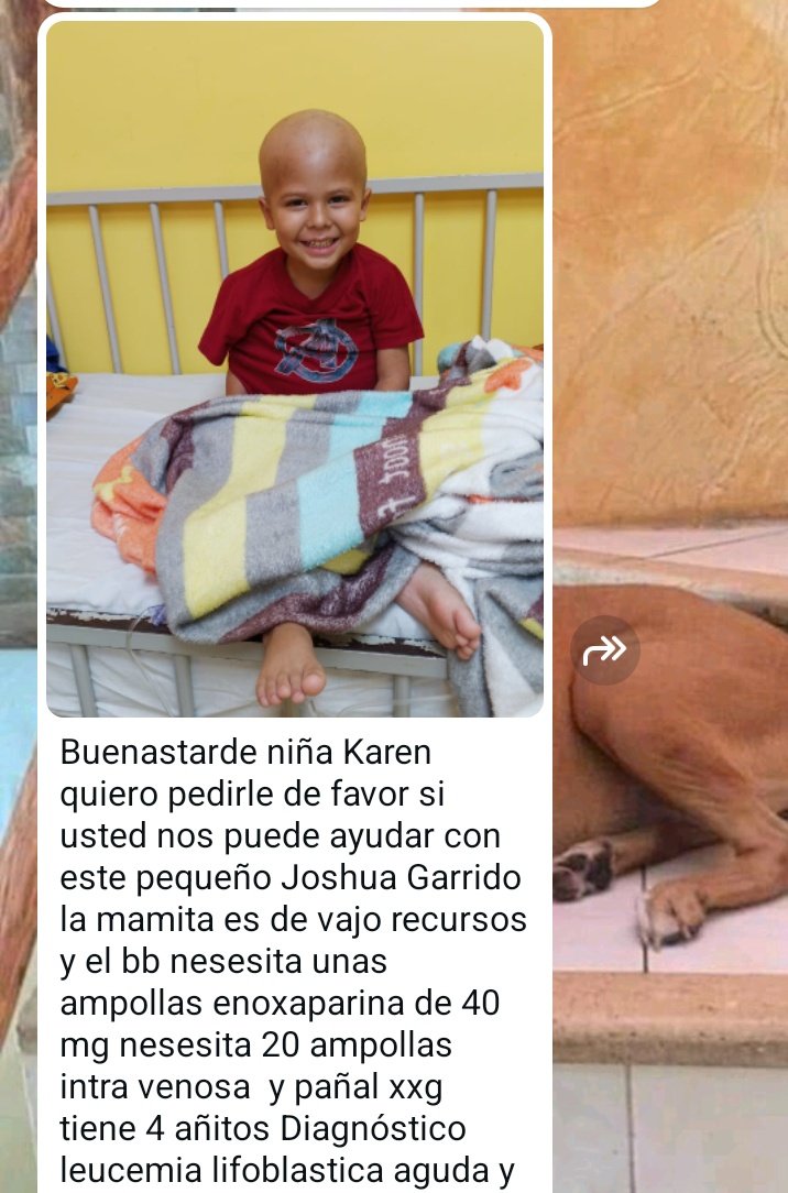 karenisabelM's tweet photo. En el hospital no hay medicinas 🥺

Joshua tiene 4 añitos, tiene leucemia linfoblastica aguda.
Necesita ayuda🥺
-20 ampollas intravenosa de -Enoxaparina de 40mg
Quién pueda ayudarnos les agradecería.
Info: 0986765985
RT🙏
@PatronaQuinn_ @JayJayTi @sybelmartinez @fabriciocorread https://t.co/3hYpYS3X1Y