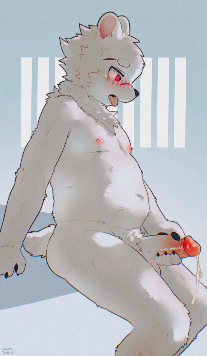 ﾊｰﾍﾞｽﾀ🪵 tweet media