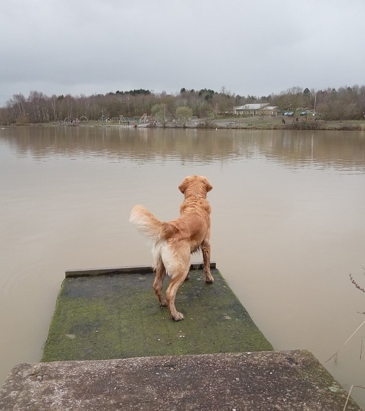 Carlos Shires (@carlosshires) on Twitter photo 