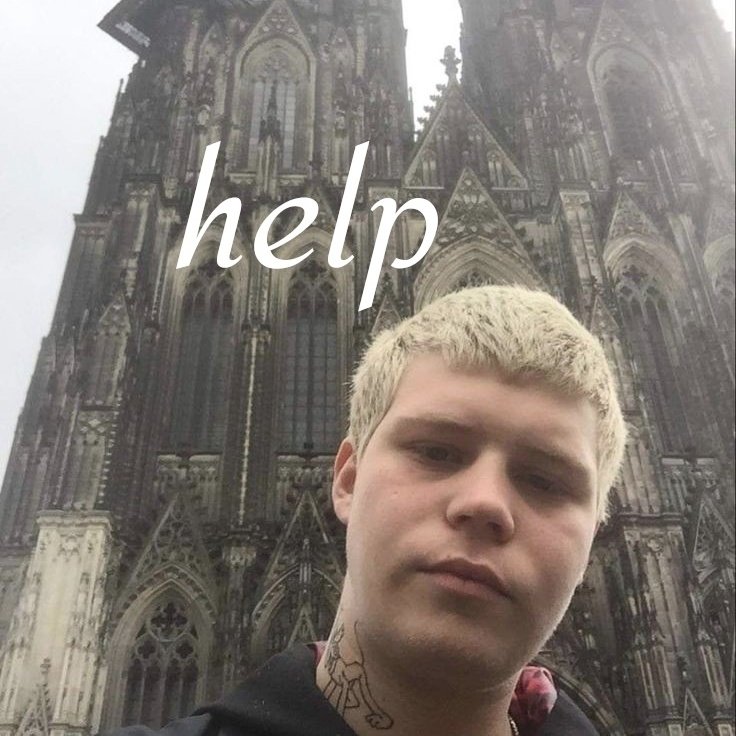 urvans tweet media