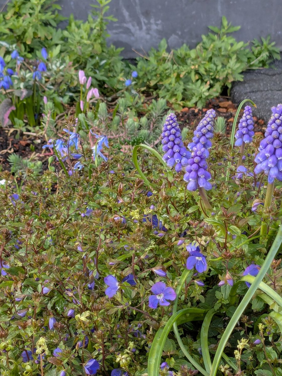 David Mulholland tweet media