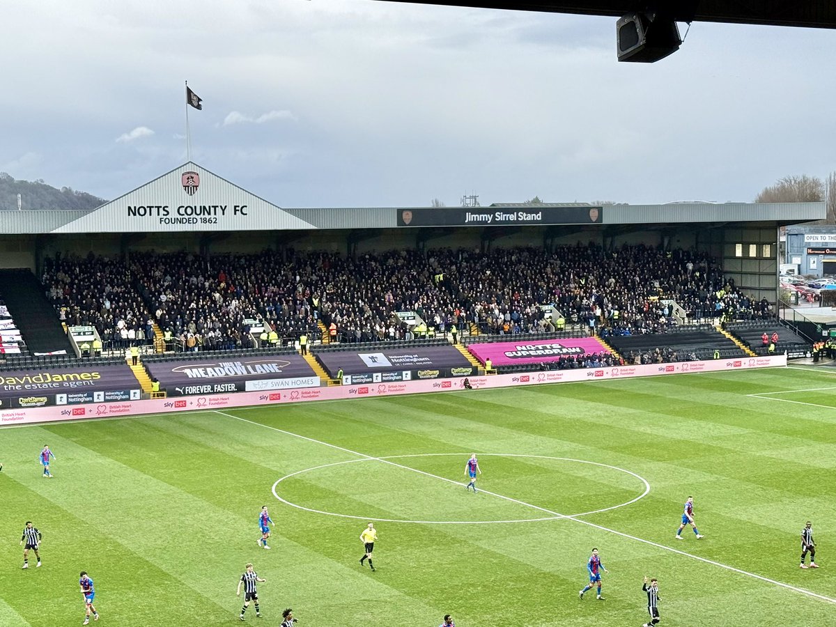 ๐๐๐ ๐ป๐๐๐ tweet media