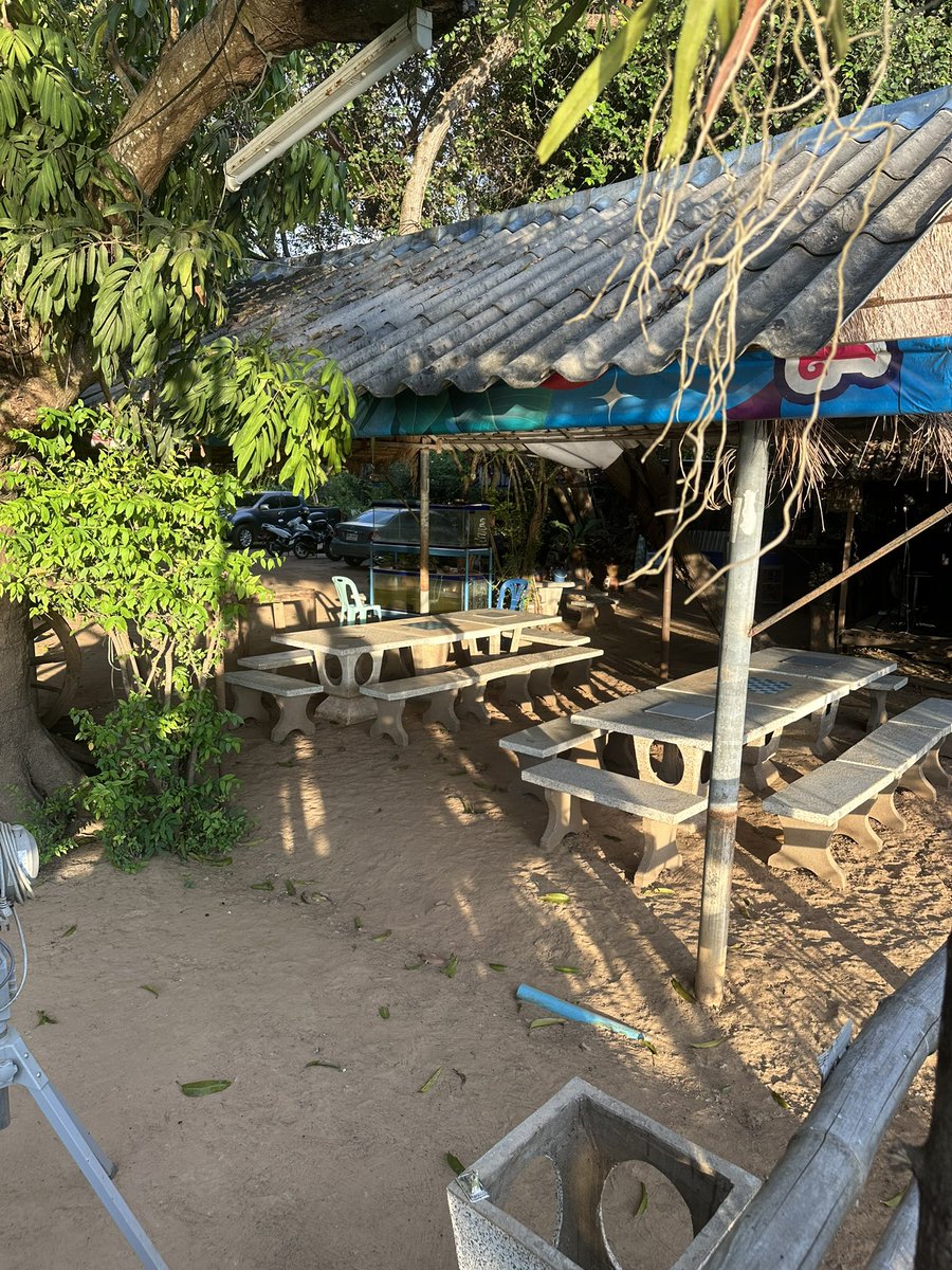 Dave's Travel Corner tweet media