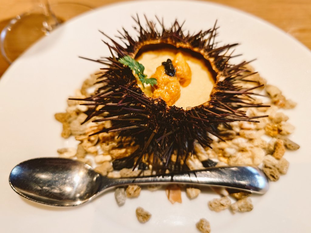 ながよる2巻、コミまも1巻発売記念日お茶会おめでとうございます！
おいしいものを食べようと、うにのプリンでお祝いお祝い

#あわいの民エアお茶会