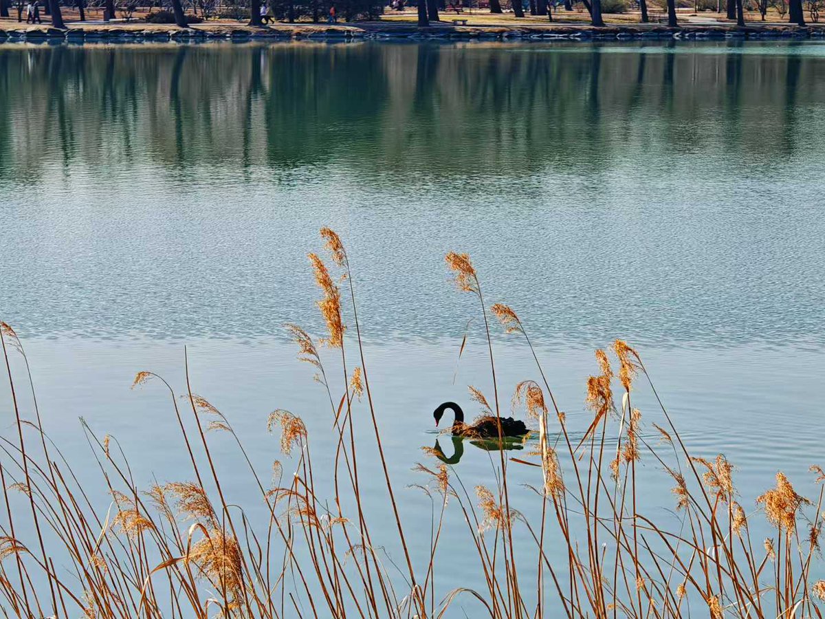 China Says tweet media