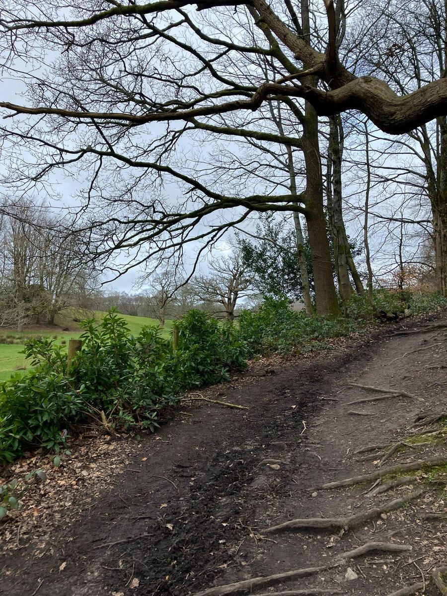 RRR_LUF's tweet image. Framing Freedom Walk 🚶‍♂️🌳

A brilliant walk up to Witton Park with the Roots Community team. Fresh air, great company, and time to connect with nature and each other.

 #CommunitySupport #RootsCommunity #RedRoseRecovery