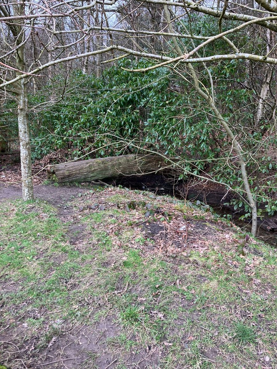 RRR_LUF's tweet image. Framing Freedom Walk 🚶‍♂️🌳

A brilliant walk up to Witton Park with the Roots Community team. Fresh air, great company, and time to connect with nature and each other.

 #CommunitySupport #RootsCommunity #RedRoseRecovery