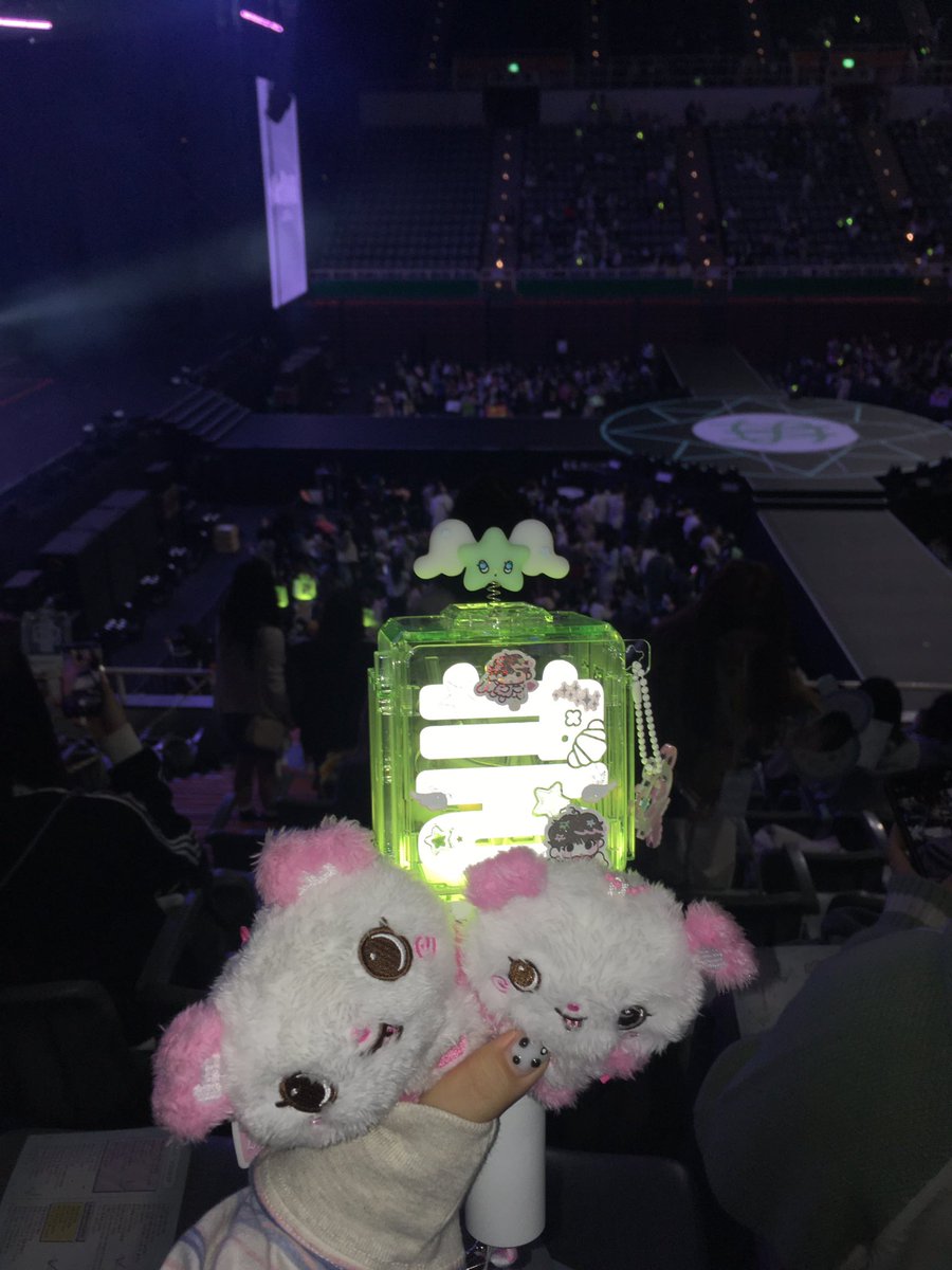 dudu🥟 tweet media