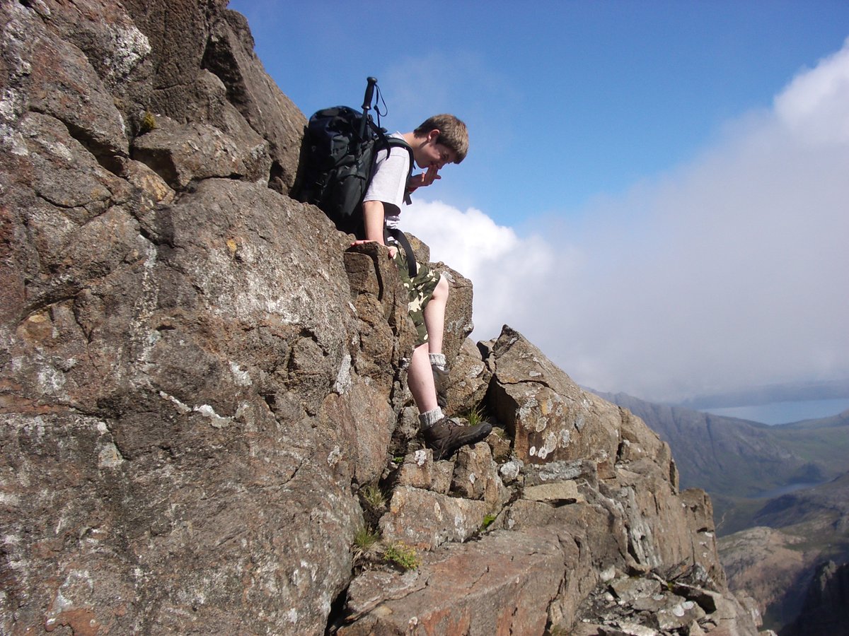 Harry Sutton tweet media