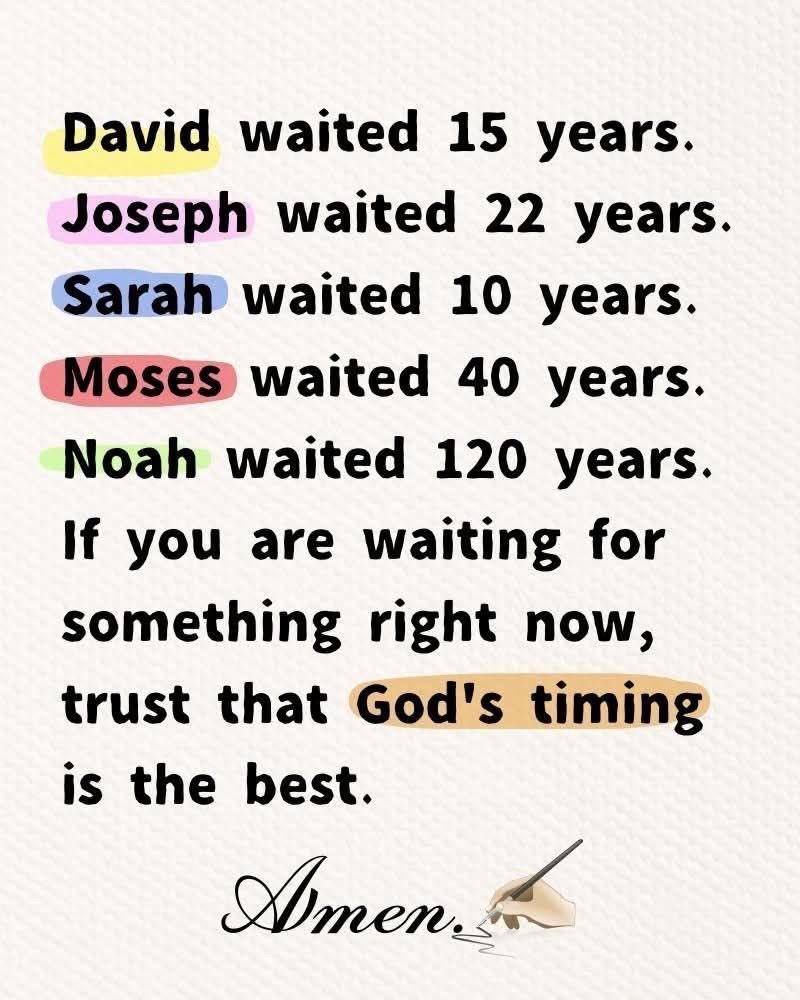 Holy Bible tweet media