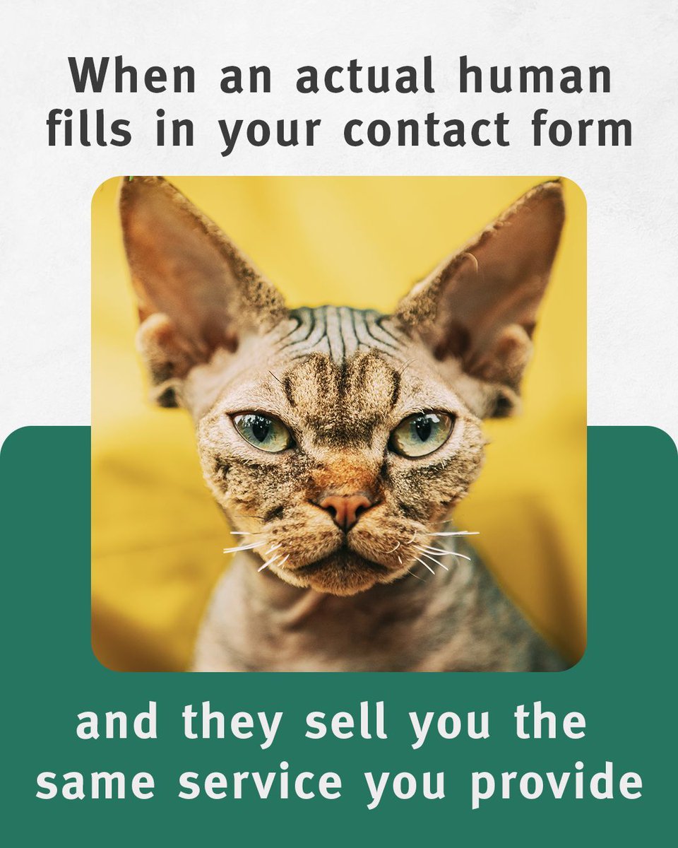 TagBobdigital's tweet photo. There's just so much online messaging that goes to the wrong people.

We'd love to help you make sure that your resources get to the people that actually want to engage. 

While we are at it, we can help with some of the spam in your inbox from your website.

Get in touch 📩 https://t.co/OUiC2IhffT