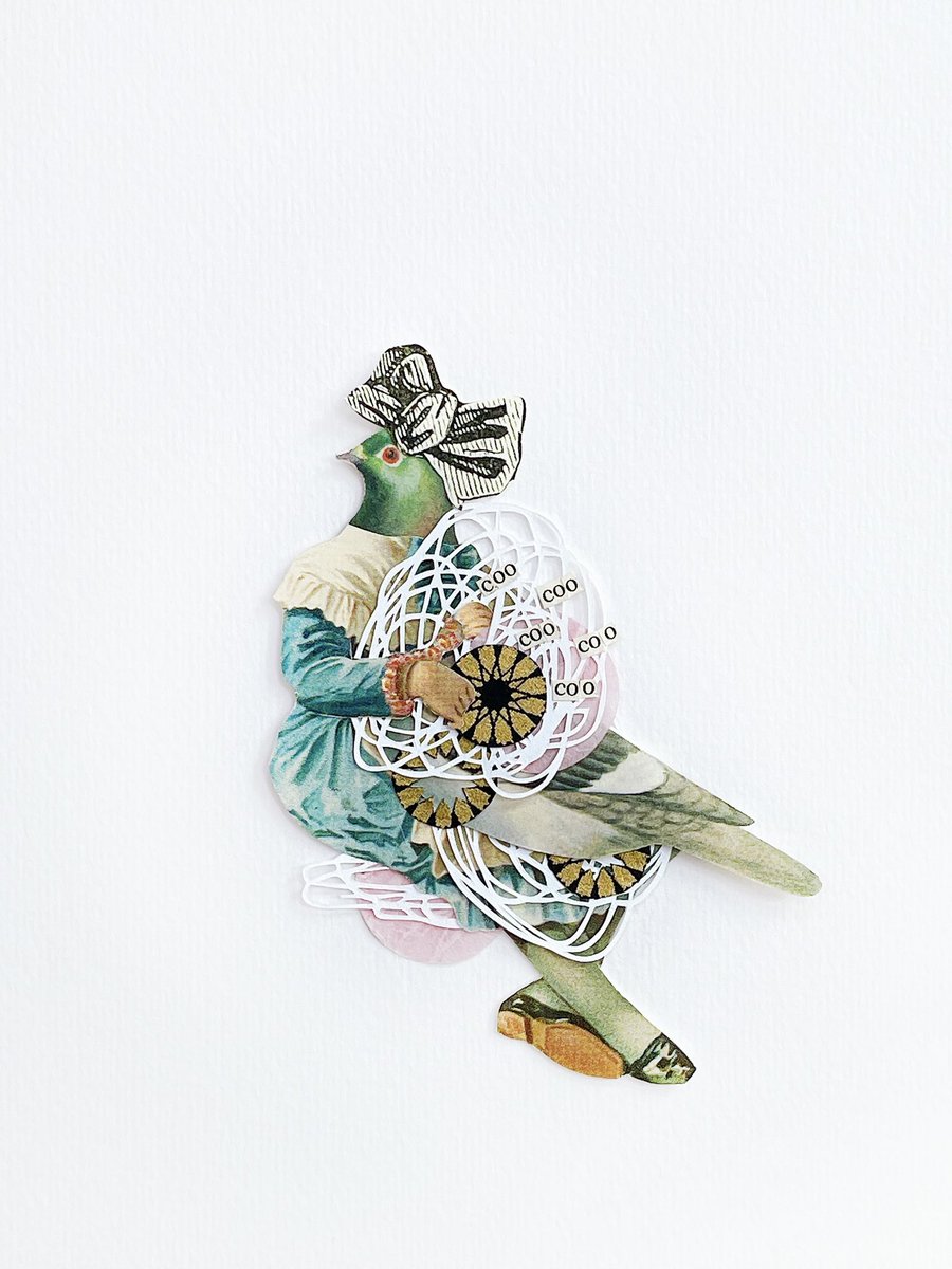 COLLAGECANTO tweet media