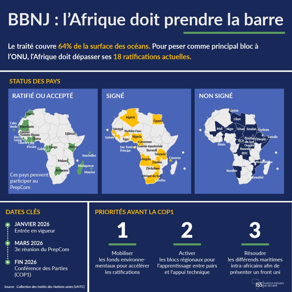 ISSAfricaFR's tweet photo. L'accord #BBNJ entre en vigueur et change la donne pour la #HauteMer.
Sans davantage de ratifications, l’Afrique risque de manquer un rendez-vous stratégique à la COP1 cette année.
En savoir plus > https://t.co/kZgMNglUnw https://t.co/LmNHFvdmFz