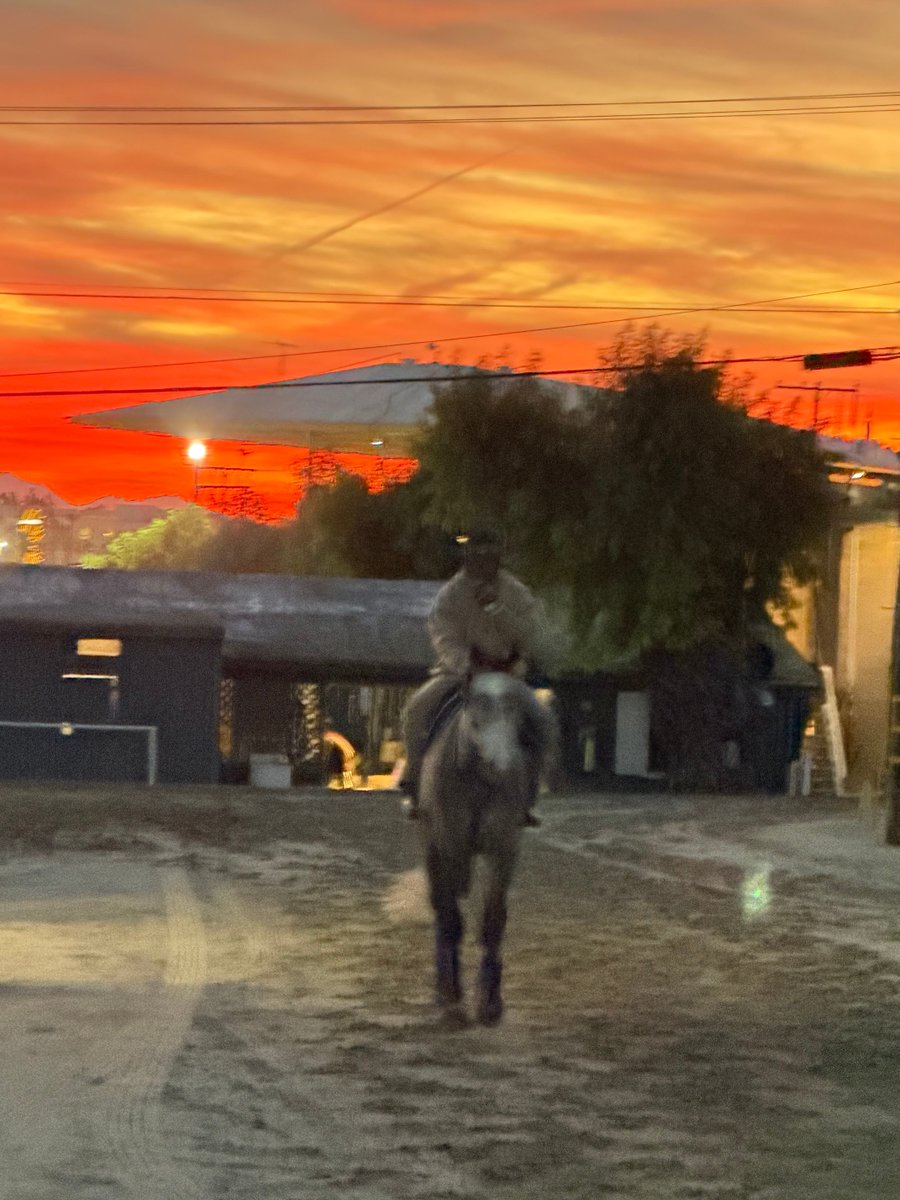 camillayakteen's tweet photo. Good morning California!
⁦@timyakteen⁩ ⁦@santaanitapark⁩ https://t.co/mUQa59F5p0
