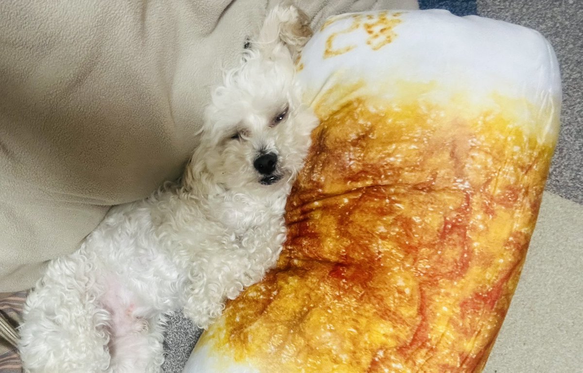 高橋ピクト tweet media