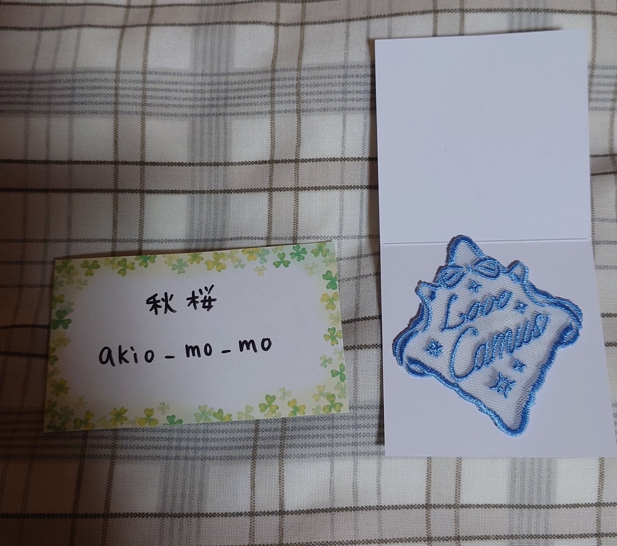 秋桜 tweet media