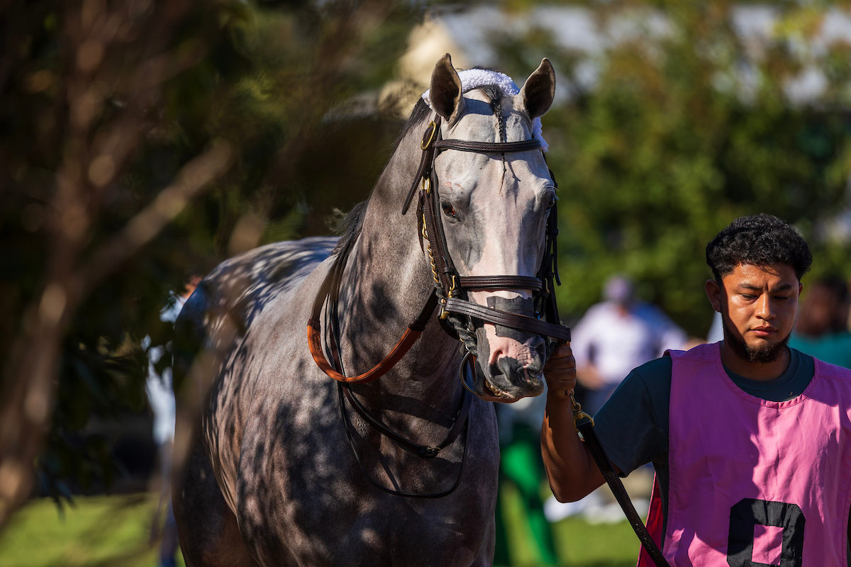 America'sBestRacing tweet media